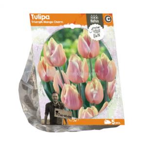 Baltus Tulipa Triumph Mango Charm tulpen bloembollen per 5 stuks